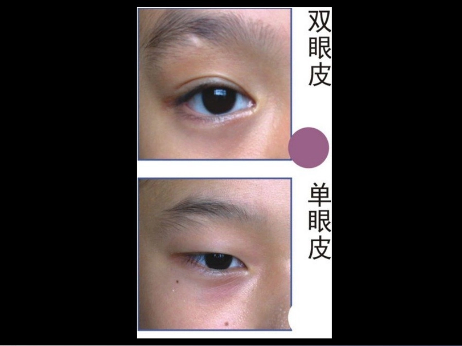 你跟亲人长得像吗？_第3页