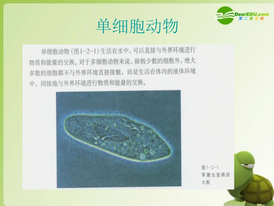 高中生物-内环境与稳态课件-中图版必修3_第2页