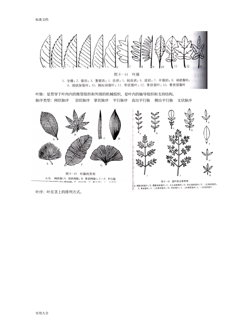 园林植物学复习资料整理_第3页