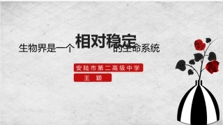 二不同层次的稳态