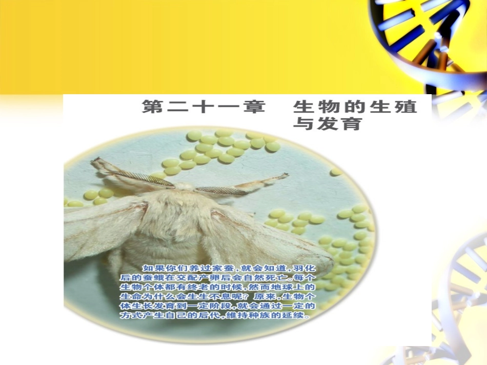 第一节生物的无性生殖_第1页