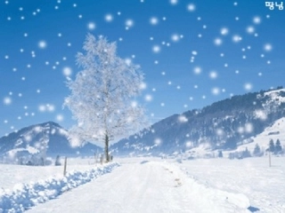 雪地里的小画家