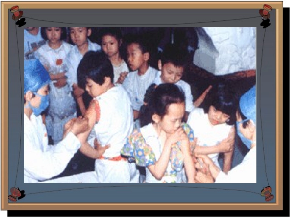 《第5节-科学探究》课件2_第2页