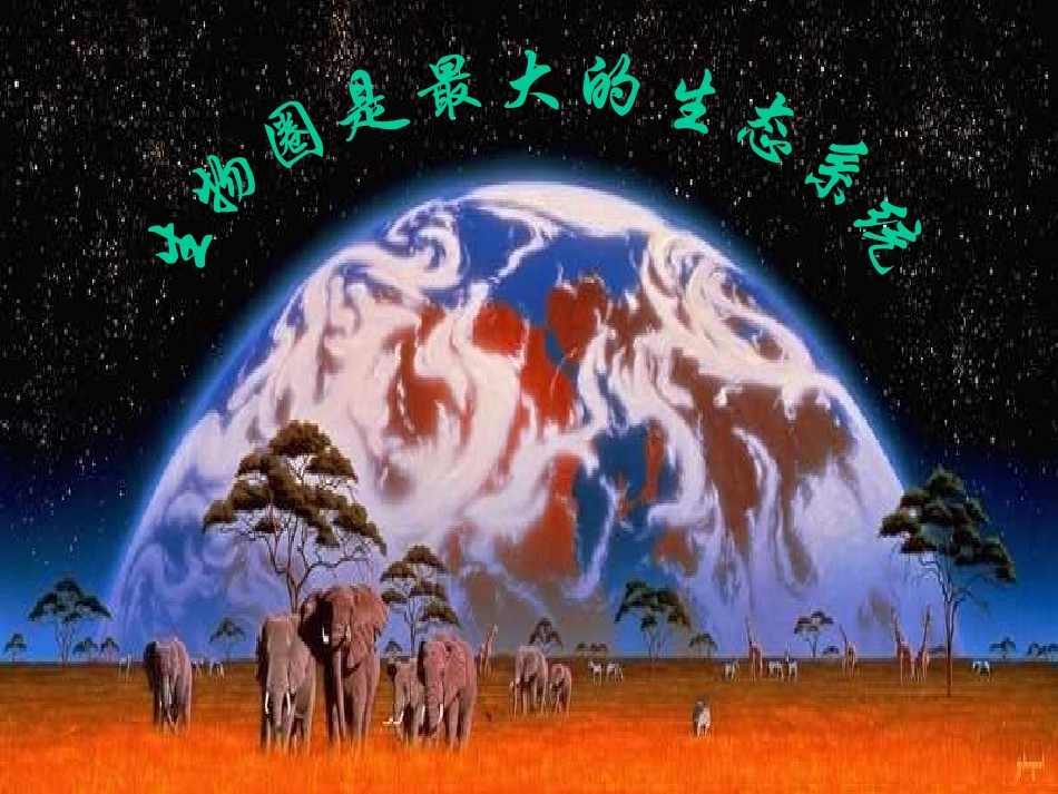 科学·技术·社会-森林可以减缓气候变化_第1页