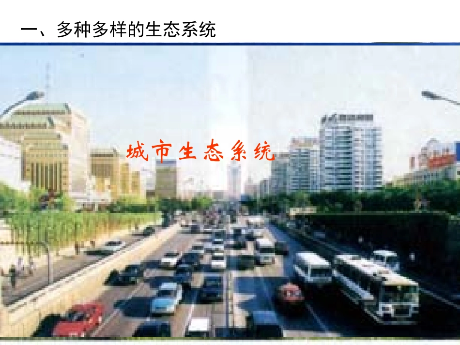 科学·技术·社会-森林可以减缓气候变化_第2页