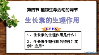 生长素的特性与生理作用-(2)