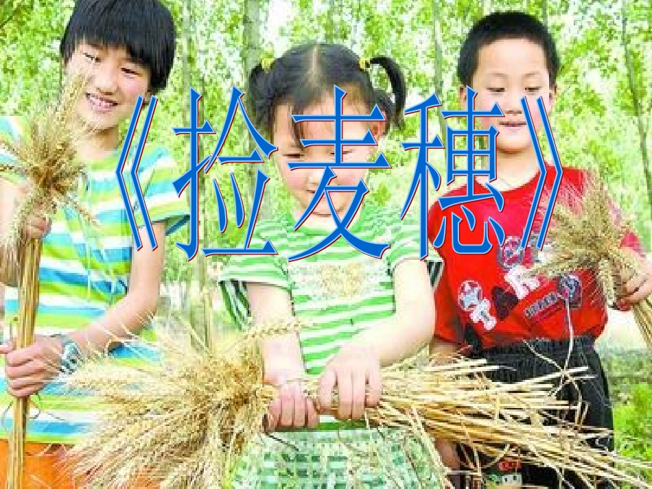 高中语文-散文单元《捡麦穗》课件-粤教版版必修1_第1页