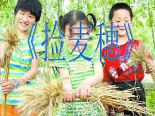 高中语文-散文单元《捡麦穗》课件-粤教版版必修1