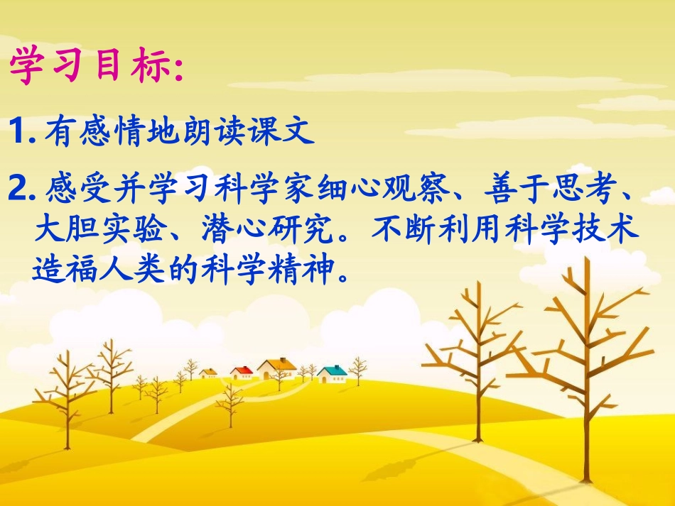 《夜晚的实验》课件PPT_第2页