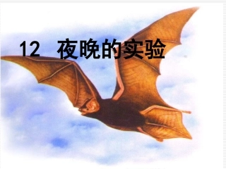 《夜晚的实验》课件PPT