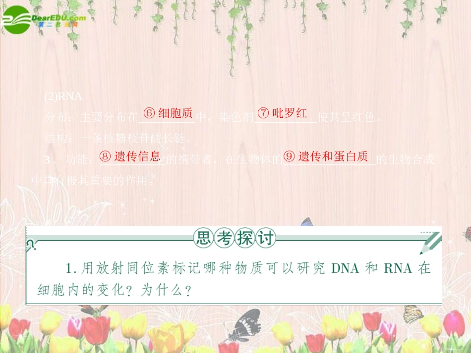 《金版》2011高三生物总复习-第二章-3、4节遗传信息的携带者—核酸-细胞中的糖类和脂质课件-苏教版_第2页