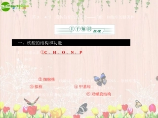 《金版》2011高三生物总复习-第二章-3、4节遗传信息的携带者—核酸-细胞中的糖类和脂质课件-苏教版
