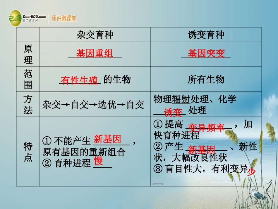 【课堂新坐标】(安徽专用)2014版高考生物一轮复习-第5、6、7章-第3课时从杂交育种到基因工程课件-新人教_第2页