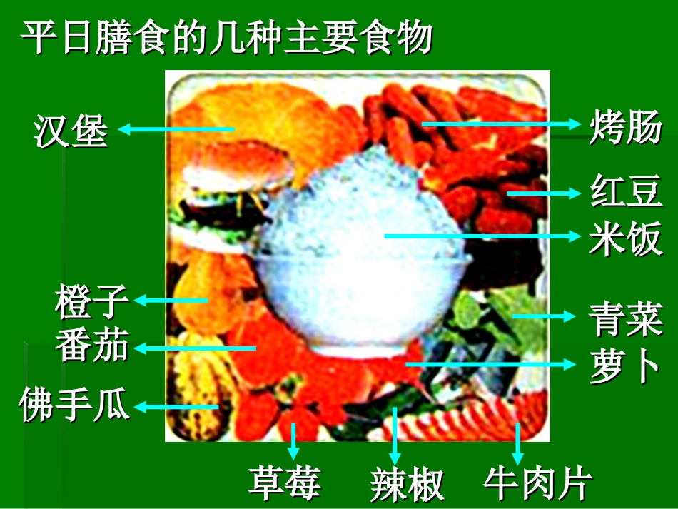 2.4-细胞中的糖类和脂质-课件-龚洁_第1页