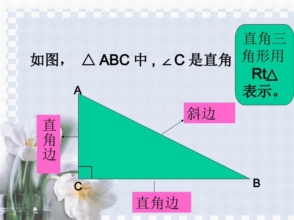 11.2.4全等三角形的判定HL.2.4全等三角形的判定HL_第3页