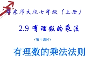 2.9有理数的乘法(1)