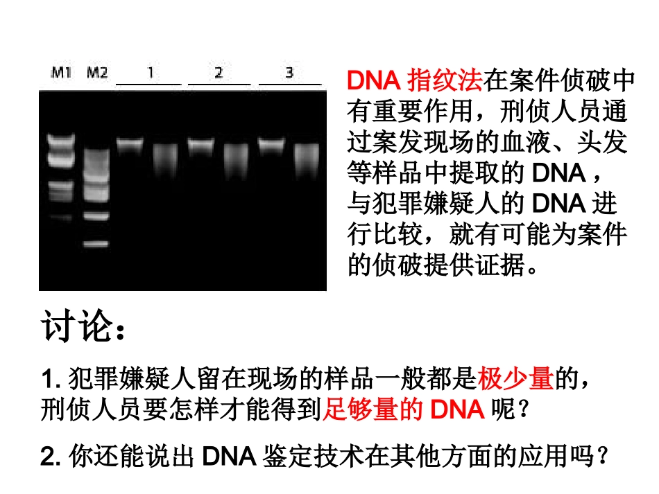 课题2-多聚酶链式反应扩增DNA片段_第2页