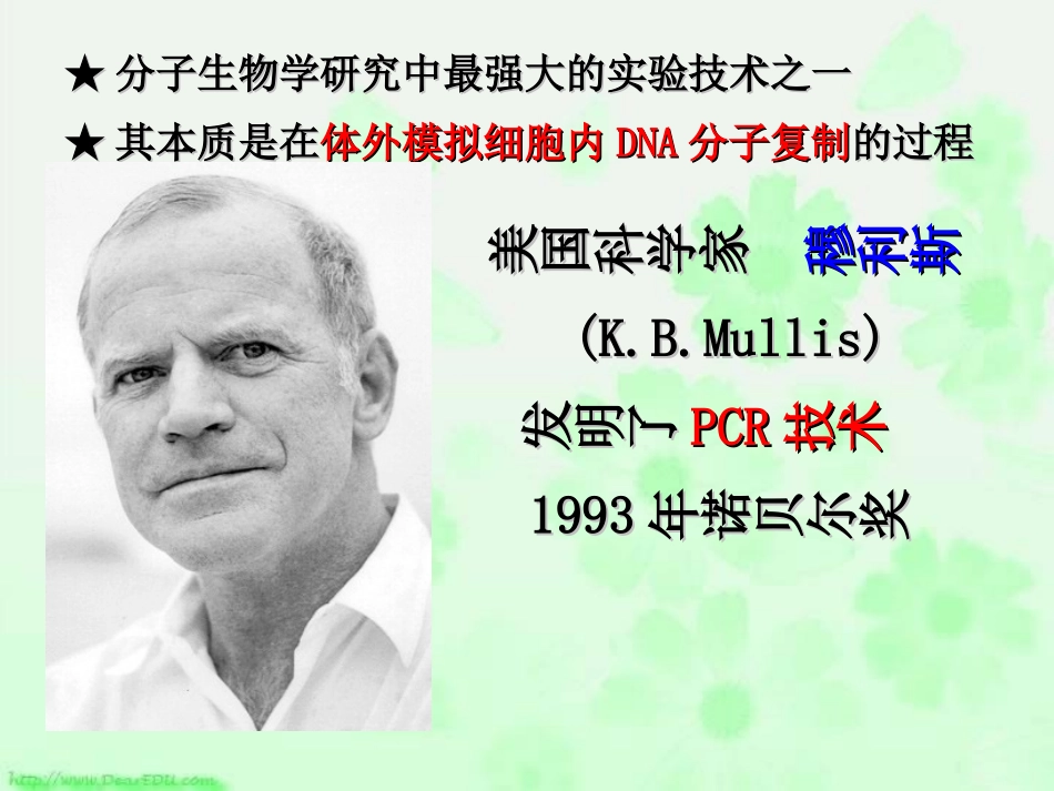 课题2-多聚酶链式反应扩增DNA片段_第3页