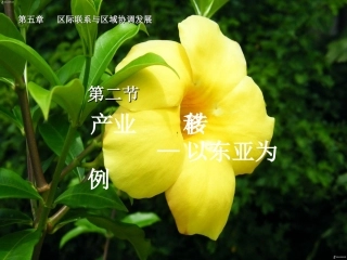 第2节-产业转移──以东亚为例