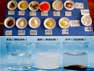 溶解过程中的动态平衡-(2)