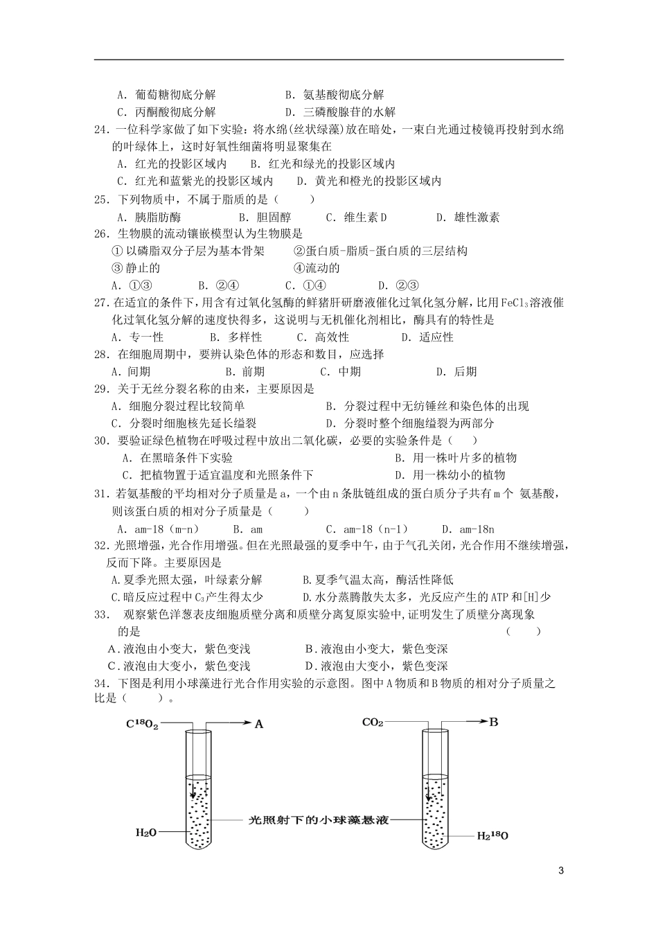福建永春一中2012-2013学年高一生物寒假作业四_第3页