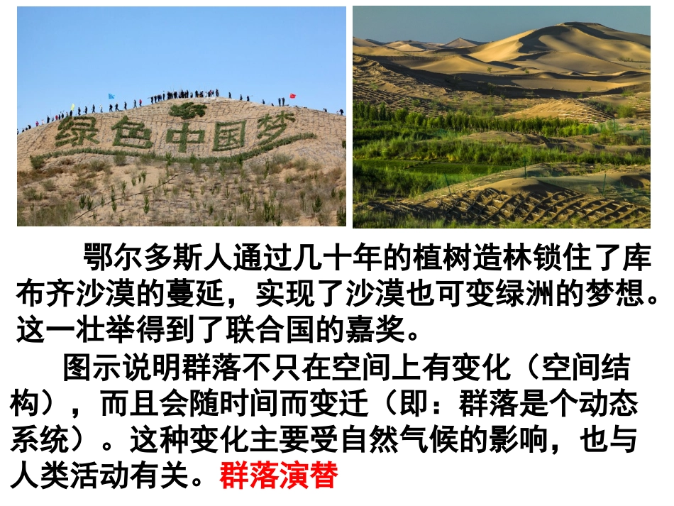 三群落的演替_第1页