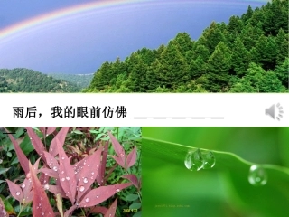 雨后(第一课时)