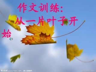 书面表达：话题作文