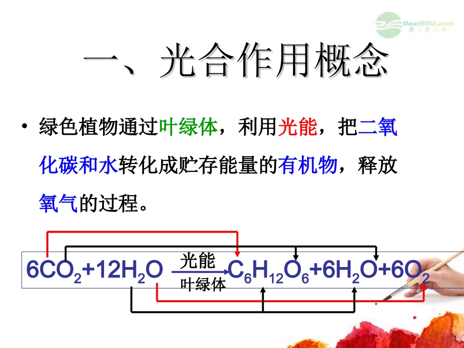 高中生物-3.5《光合作用》课件-2课件-浙科版必修1_第2页