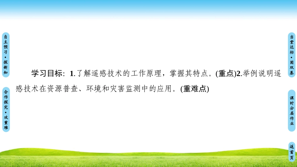 遥感技术的应用_第2页