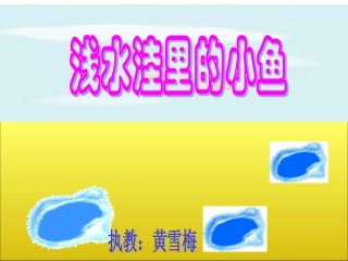 浅水洼里的小鱼----------黄雪梅