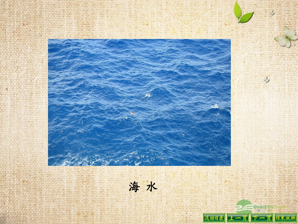 六年级语文下册-13海水为什么是蓝的3课件-语文S版_第3页