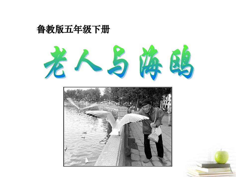 五年级语文下册-老人与海鸥-1课件-鲁教版_第1页