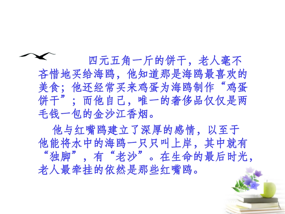 五年级语文下册-老人与海鸥-1课件-鲁教版_第3页