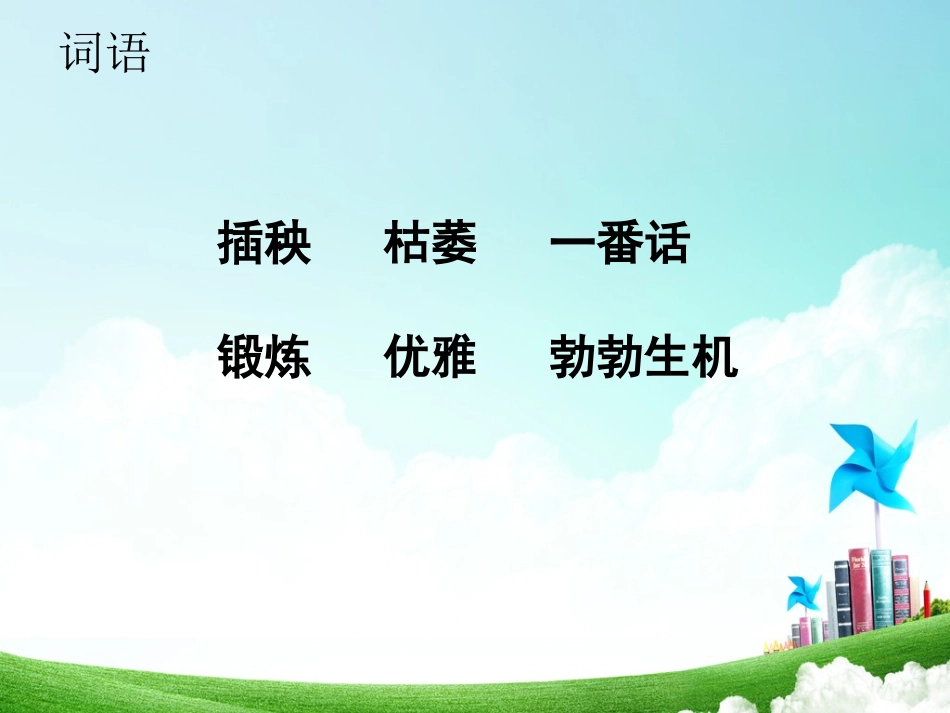 3-桃花心木_第3页