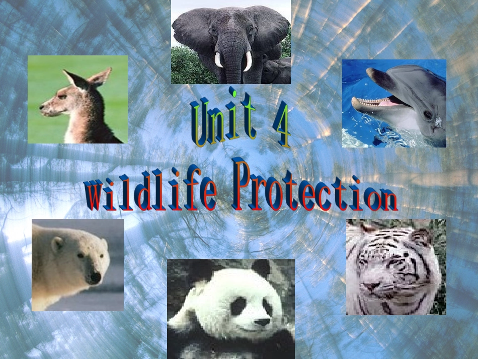 高中英语-4.5《Unit4-wildlife-protection》课件-新人教版必修2_第3页