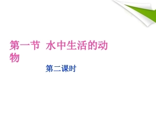 八年级生物上册-第一节水中生活的动物课件-人教新课标版