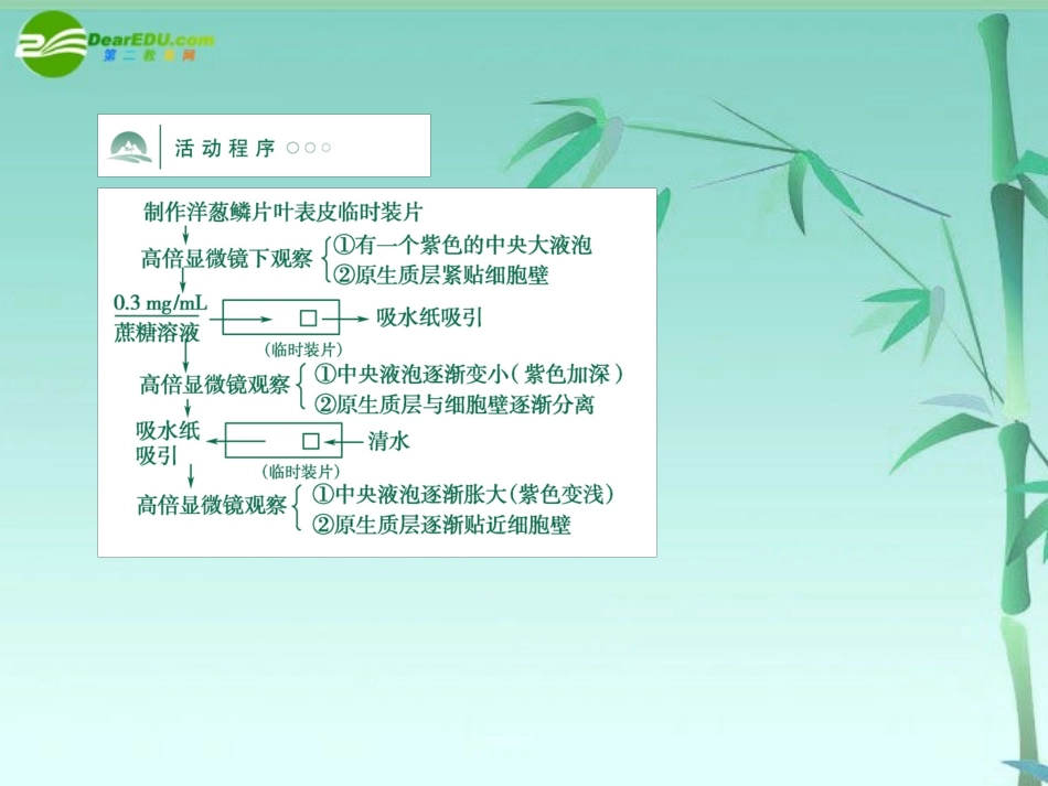 《金版》高中生物-第三单元-探究活动—洋葱鳞片叶表皮细胞的质壁分离和质壁分离课件-中图版必修1_第3页