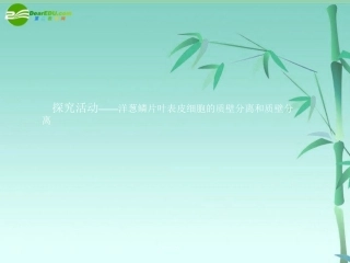 《金版》高中生物-第三单元-探究活动—洋葱鳞片叶表皮细胞的质壁分离和质壁分离课件-中图版必修1