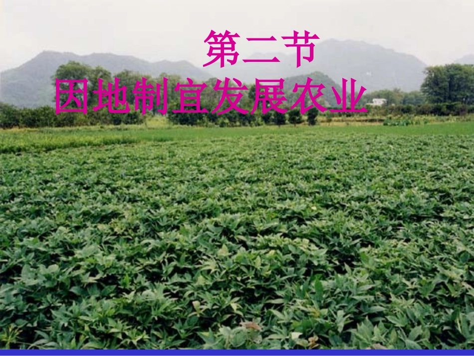 因地制宜发展农业2_第2页