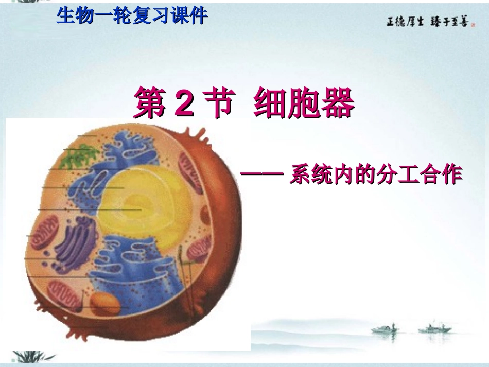 高中生物一轮复习-细胞器课件-新人教版必修1_第1页