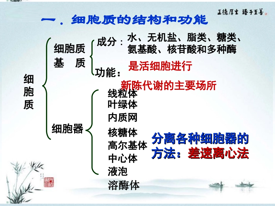 高中生物一轮复习-细胞器课件-新人教版必修1_第2页