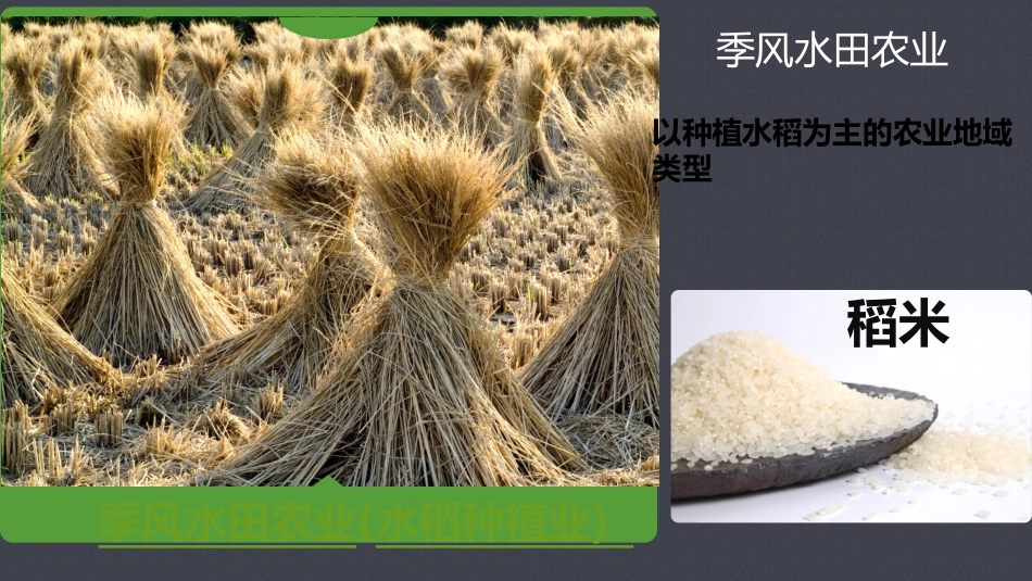 第三节-城乡规划中的主要产业布局_第2页