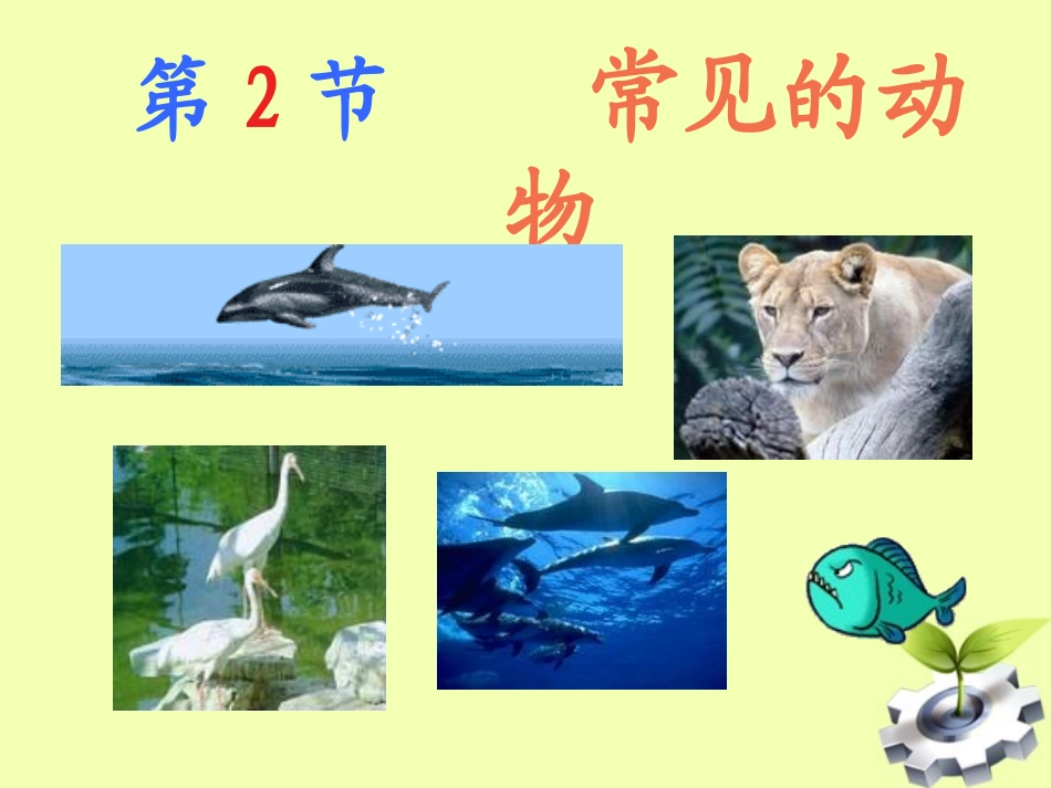 浙江省瑞安市安阳镇上望一中七年级科学上册《2.2-常见的动物》课件1-浙教版_第1页