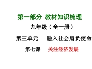 474叶县仙台镇中-杨进群-《关注经济发展》(复习)
