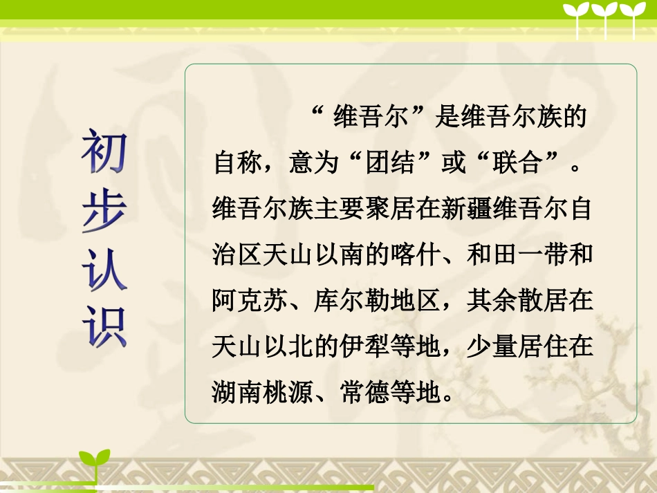 《和田的维吾尔》课件2-1_第3页