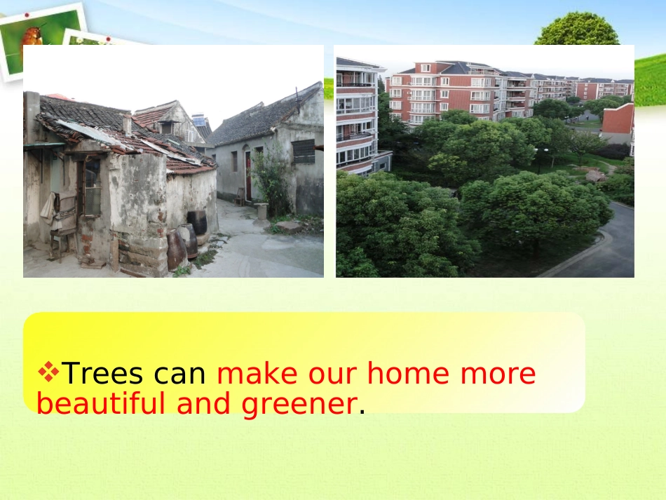 Lesson3MakingOurHomeGreener_第3页