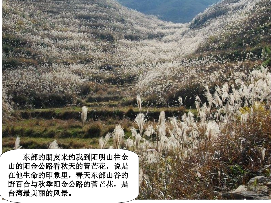 可以预约的雪_第3页