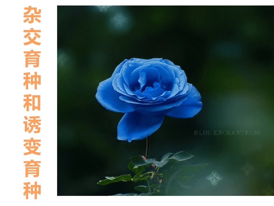 生物进化的历程与证据_第1页