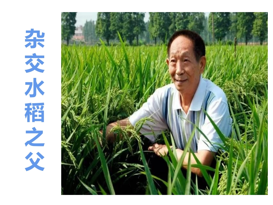 生物进化的历程与证据_第2页